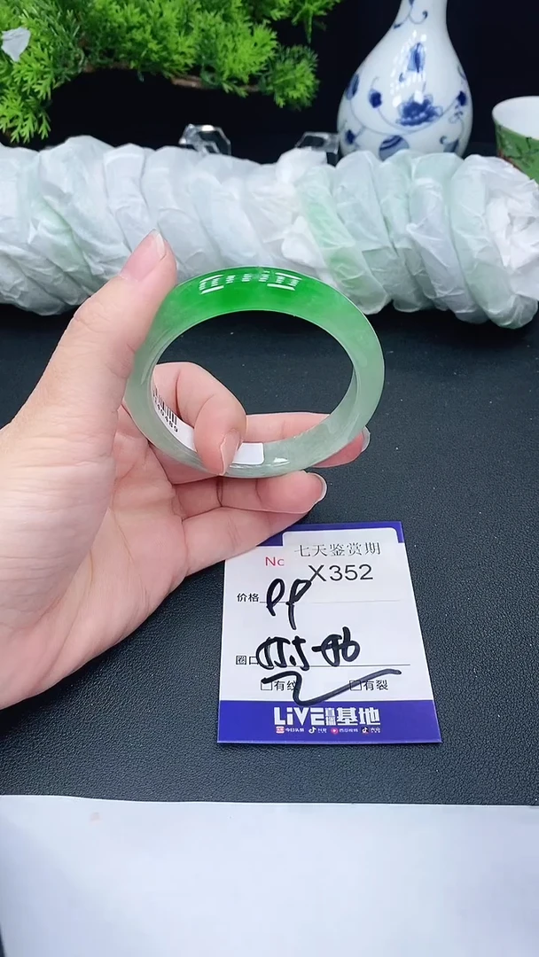 未镶嵌手镯翡翠352