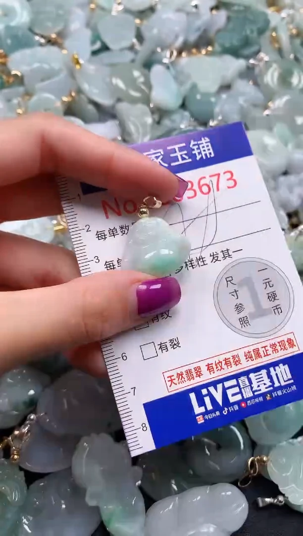 颈饰未镶嵌翡翠3673