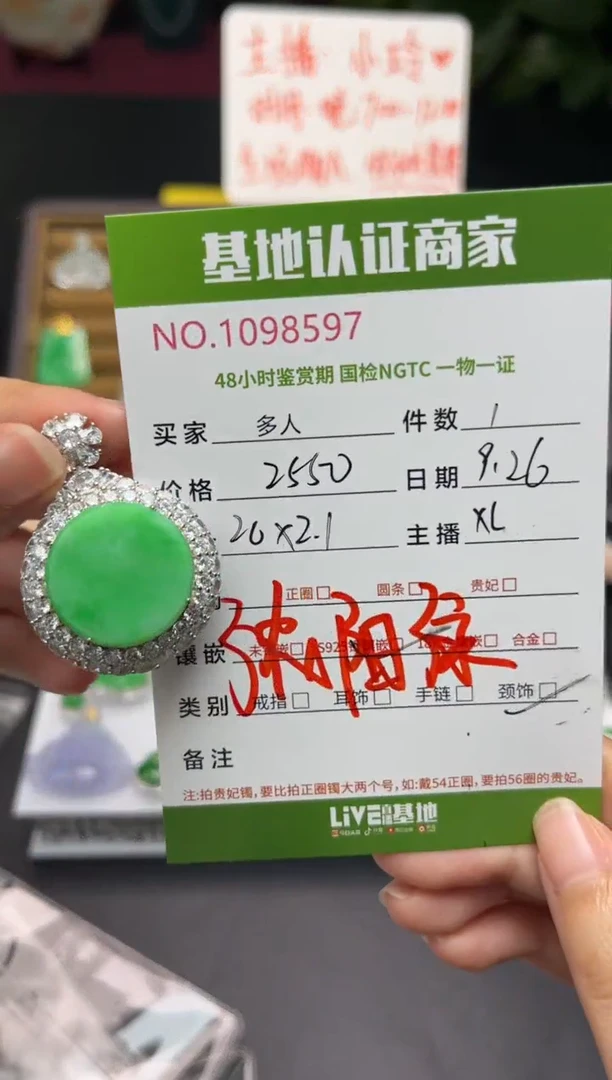 吊坠(不含链)银S925镶嵌翡翠多人