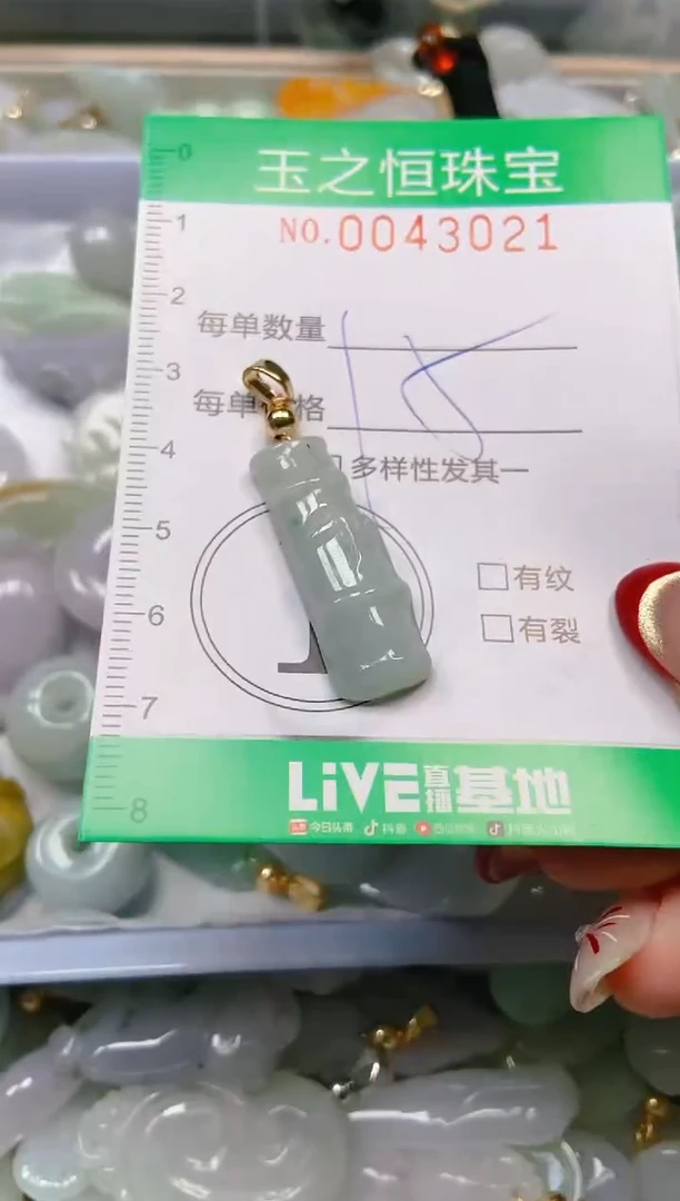 【闪购商品】翡翠颈饰未镶嵌闪购0043021