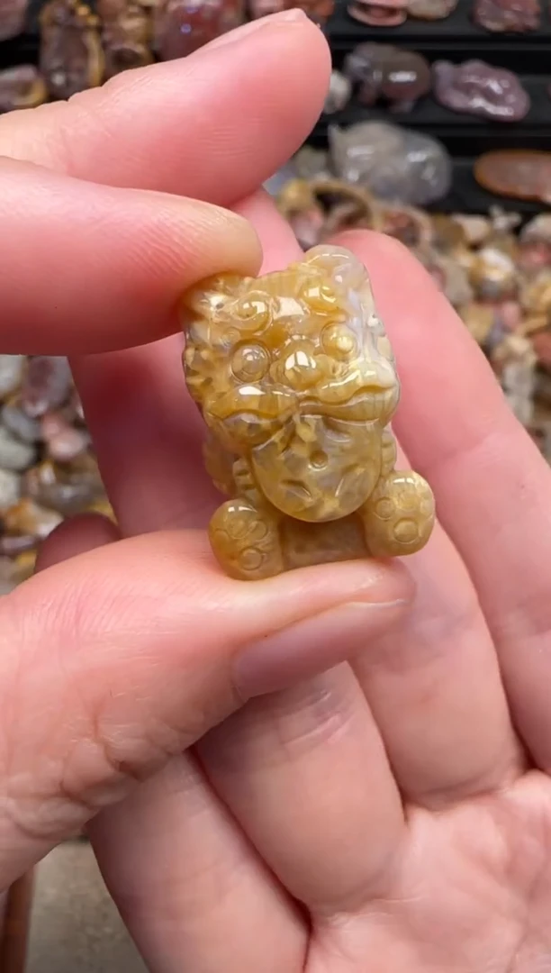 颈饰未镶嵌硅化珊瑚（珊瑚玉）613