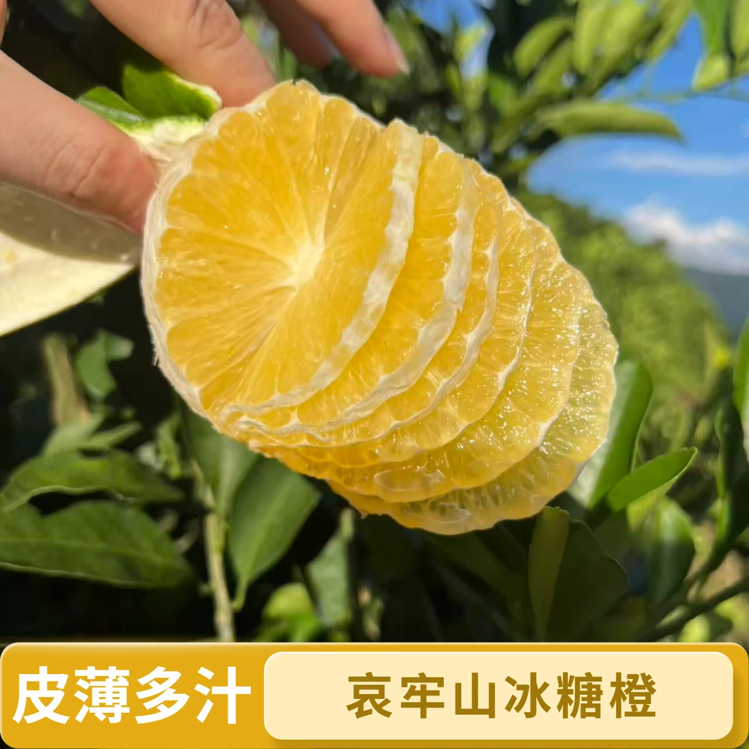 a哀牢山青皮冰糖橙应季新鲜水果现摘现发皮薄多汁清甜甄选