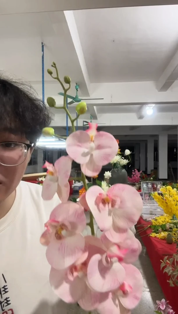 【闪购商品】仿真蝴蝶兰花束8束