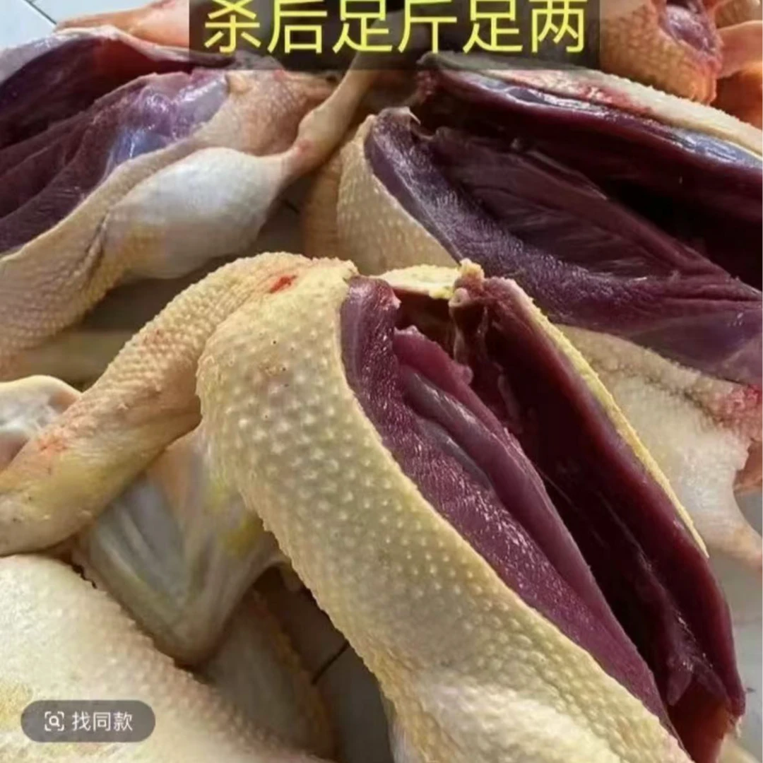 （精选4只）自然散养土麻鸭不是老鸭麻鸭白条无掌翅内脏顺丰冷链