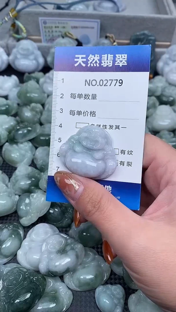 颈饰未镶嵌翡翠纯天然A货翡翠2779