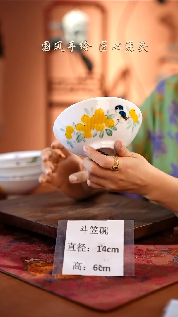 陶瓷景德镇高温釉中彩餐具（无毒无铅无镉）孤品款