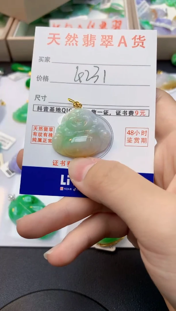 颈饰18K金镶嵌翡翠天然缅甸A货翡翠百元以上9元证书费自理