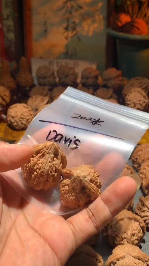 把件桃核D****.丰泰文玩  塔尖   35 尺左右