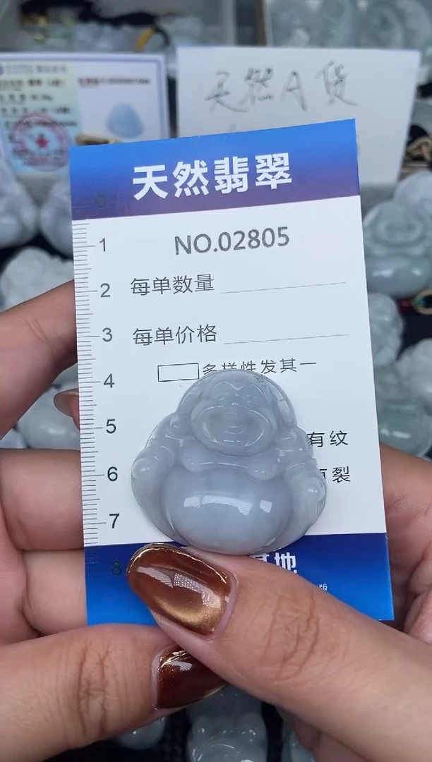 颈饰未镶嵌翡翠纯天然A货翡翠2805