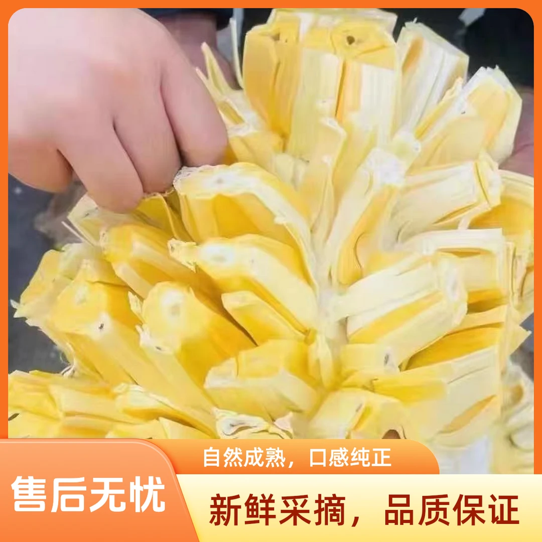 品种：越南红柚菠萝蜜5-13斤 果肉：黄色 菠萝蜜 越南 签收24小时内售后 顺丰包邮【好东西】