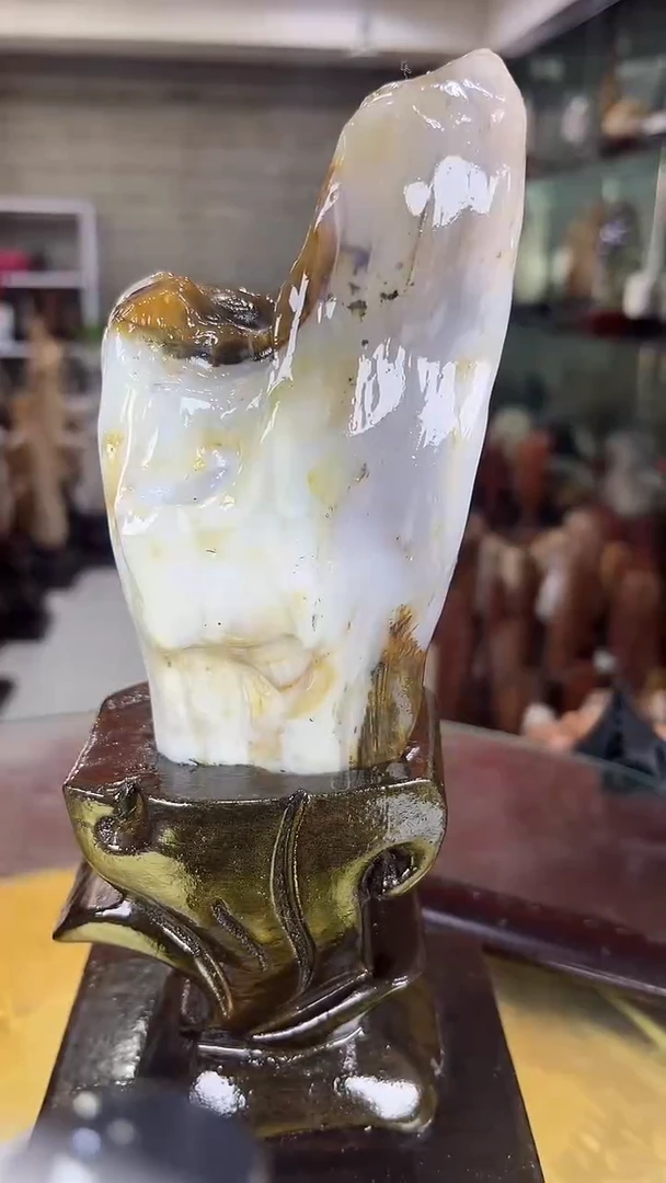 硅化玉珠宝奇石未镶嵌缅甸天然树化玉摆件