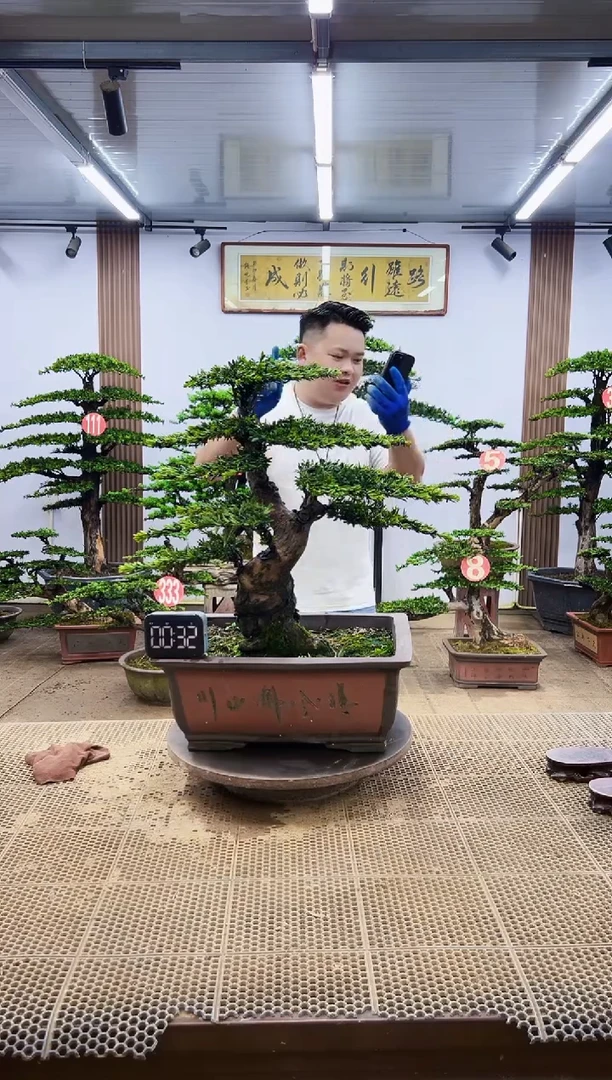无花朵一物一拍，所见即所得