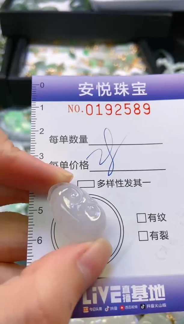 翡翠未镶嵌颈饰闪购0192589