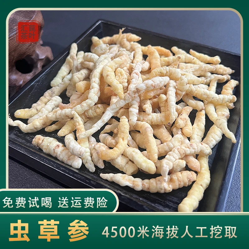 虫草参  那曲  参茶参香