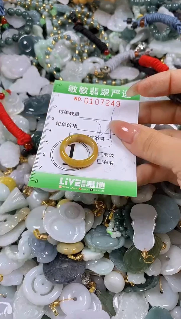 【闪购商品】翡翠颈饰未镶嵌闪购0107249