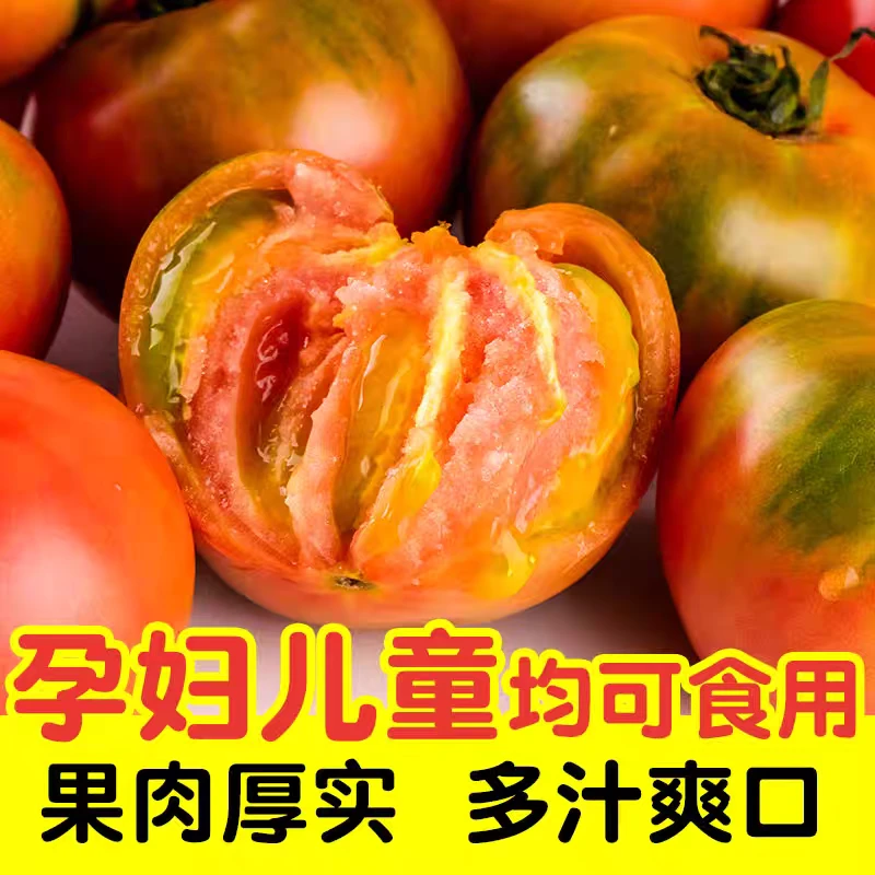 5斤精品混装【顺丰包邮】盘锦碱地柿子草莓番茄铁皮柿子自然熟