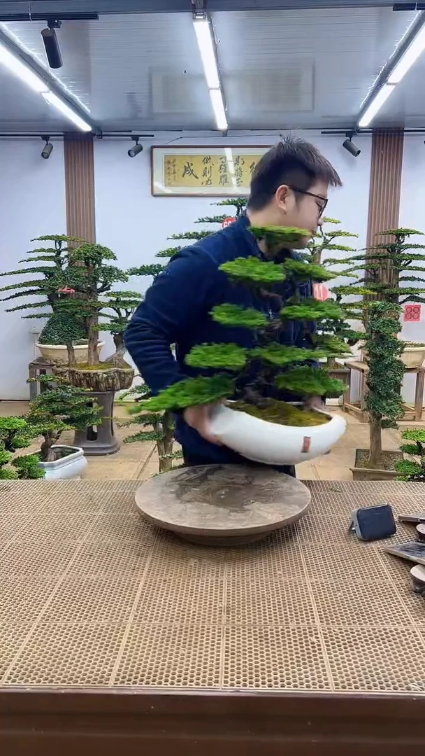 无花朵00000000000