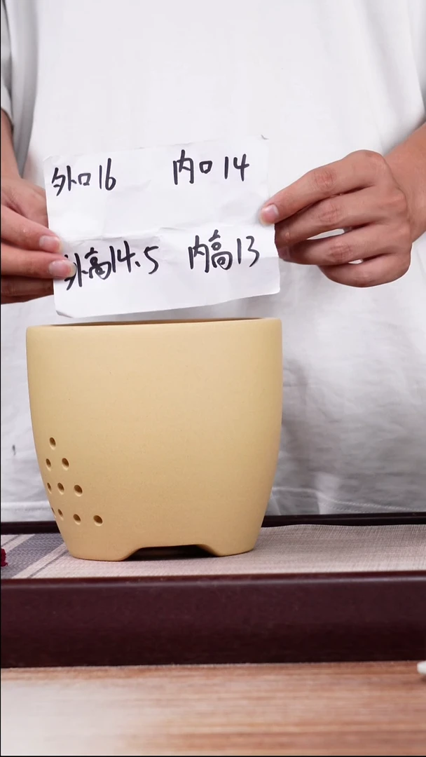 紫砂花盆段泥素面君子兰2号一只带托