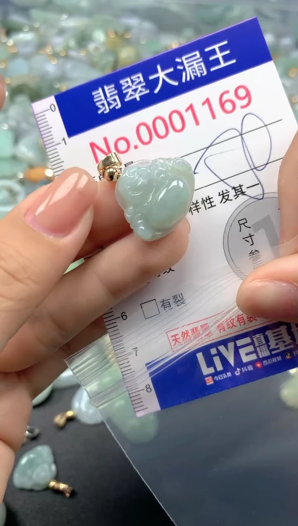 颈饰未镶嵌翡翠1169