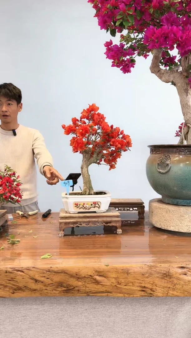 【闪购商品】AA929