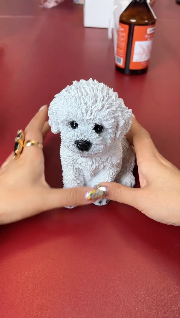 瓷片别算了真划算@@XQ1792