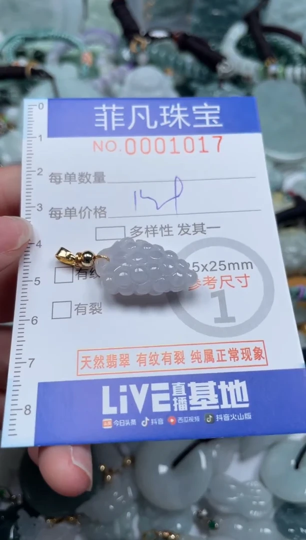 【闪购商品】翡翠颈饰未镶嵌00..1017