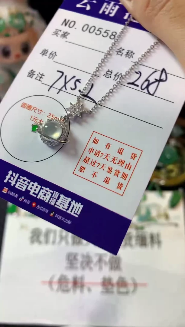 翡翠银S925镶嵌颈饰多样性发一