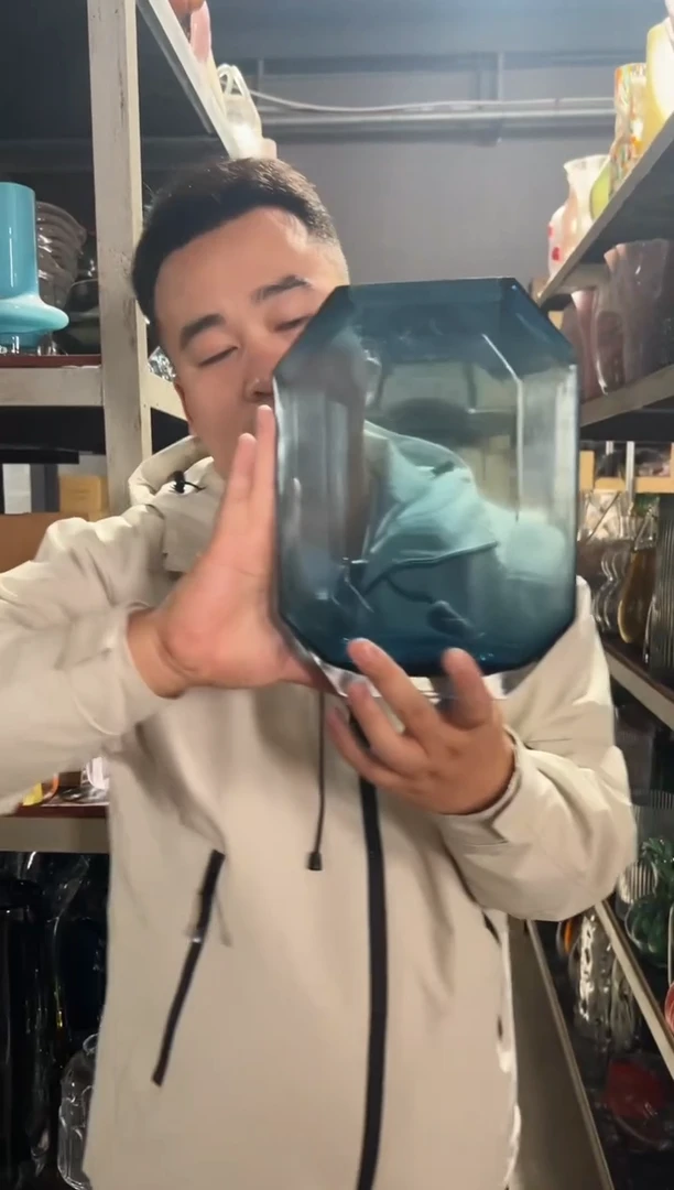 花瓶客厅餐桌插花装饰好物小