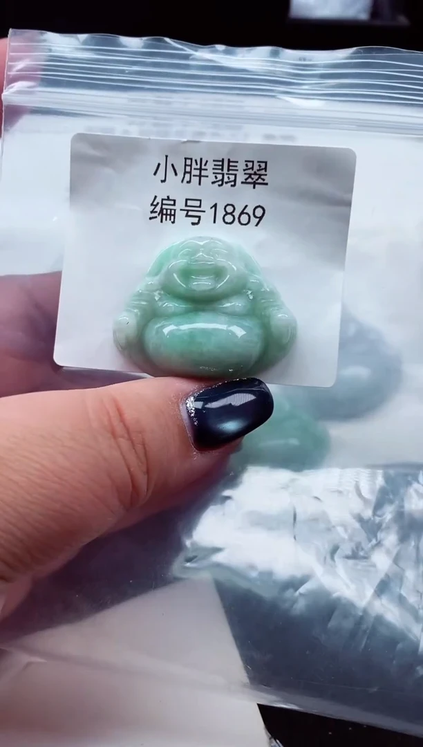 颈饰未镶嵌翡翠缅甸天然A货翡翠1869