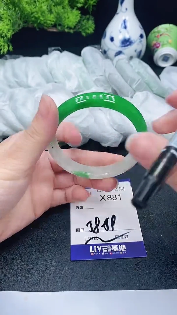 未镶嵌手镯翡翠881