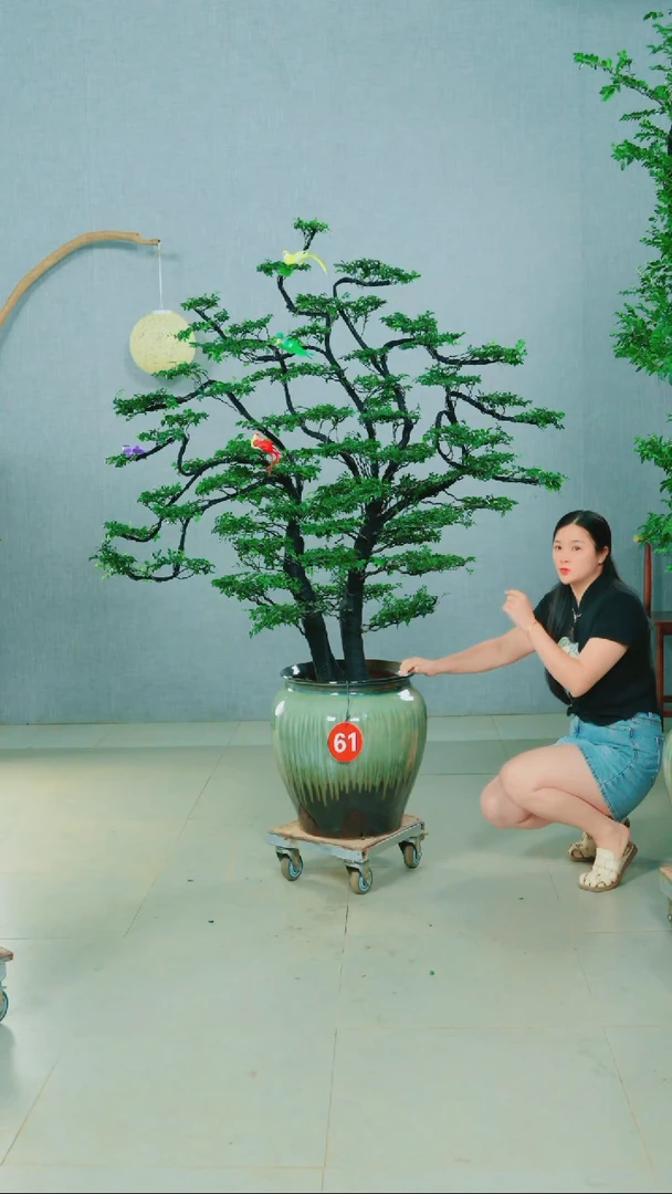 无花朵成****司广东小叶紫檀