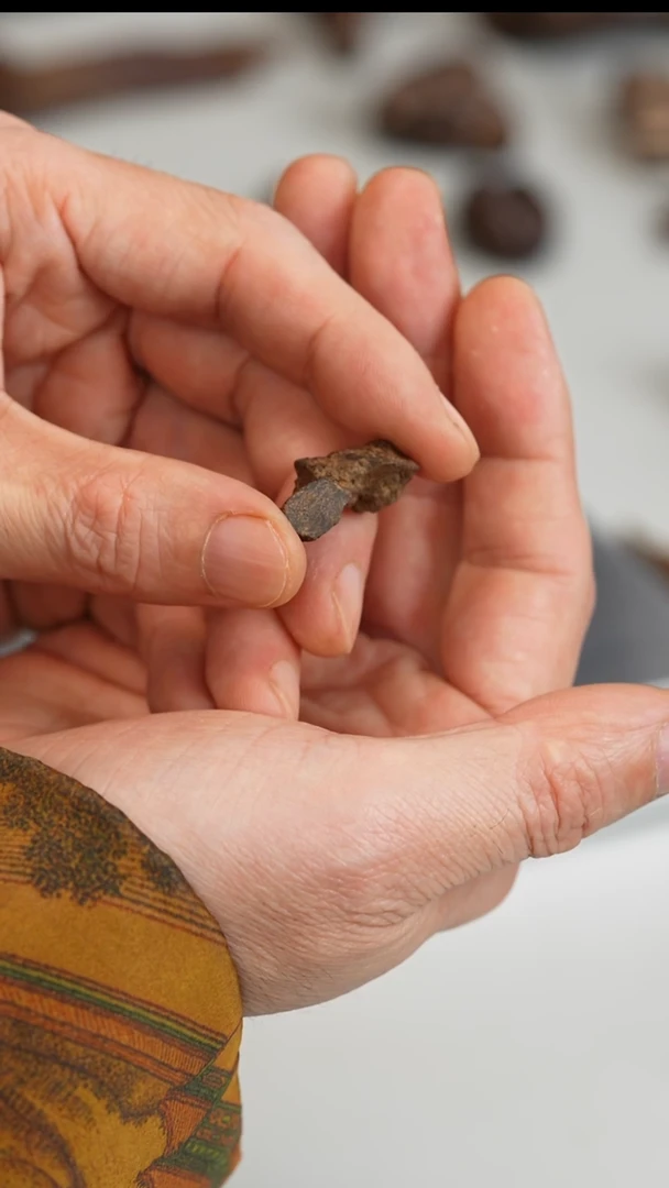 沉香沉香碎屑越南富森红土软油沉水1.7g