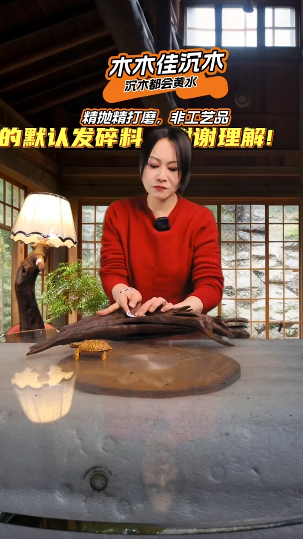 阿***黎木木佳沉木鱼缸造景857