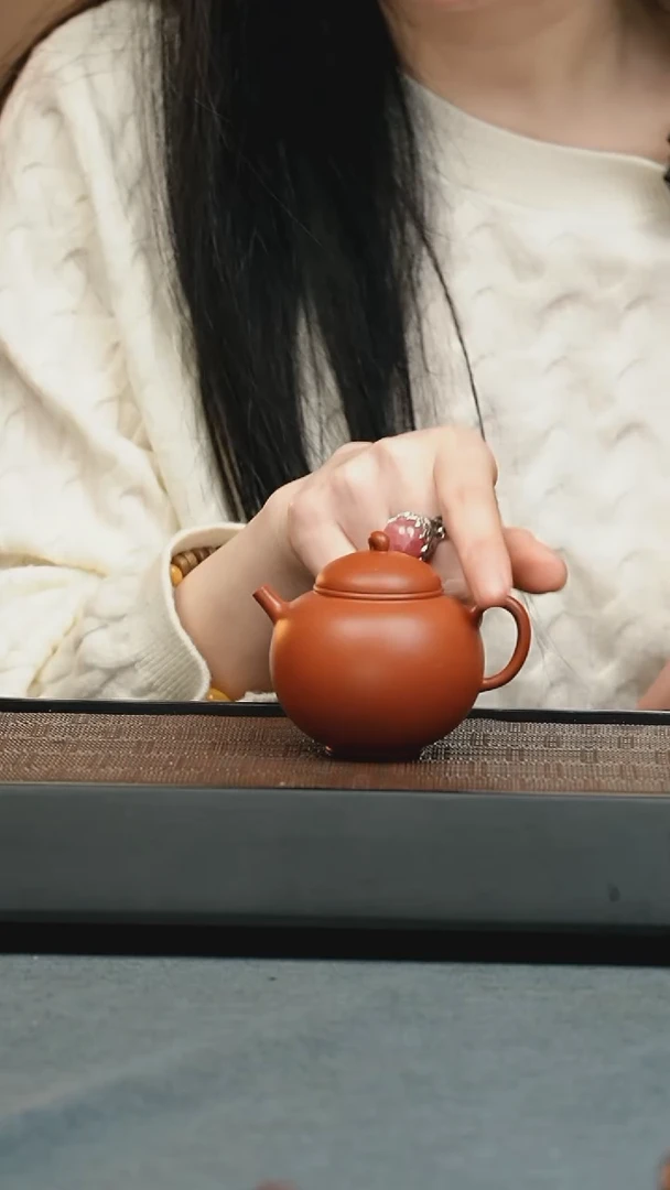 【闪购商品】紫砂茶壶五堂 拳毛騧