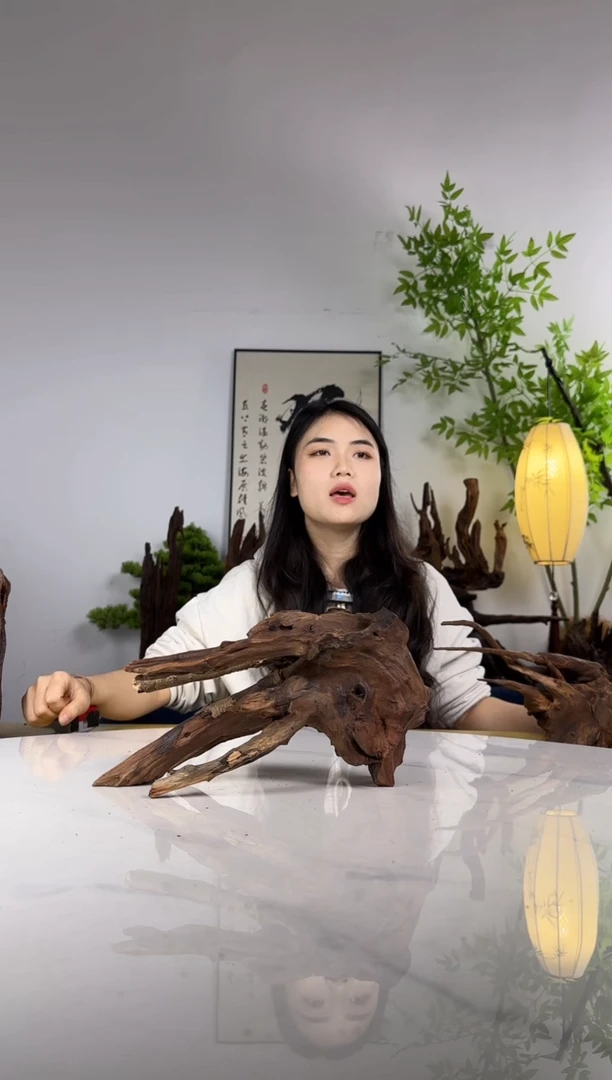 明***好拍这个定向编号15