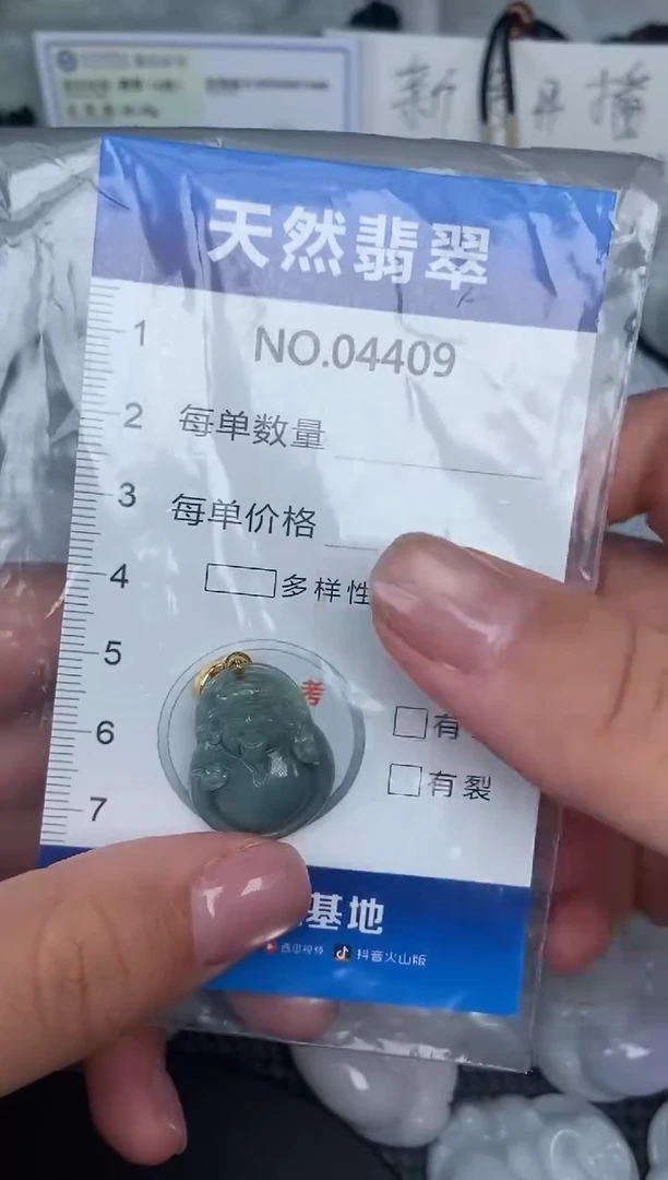 颈饰未镶嵌翡翠纯天然A货翡翠4409
