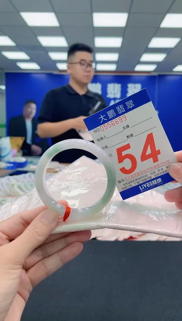 未镶嵌手镯翡翠AAAAAAAAA