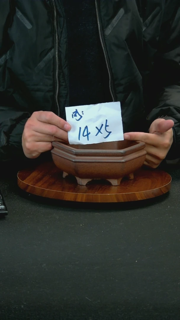 【闪购商品】紫砂F61