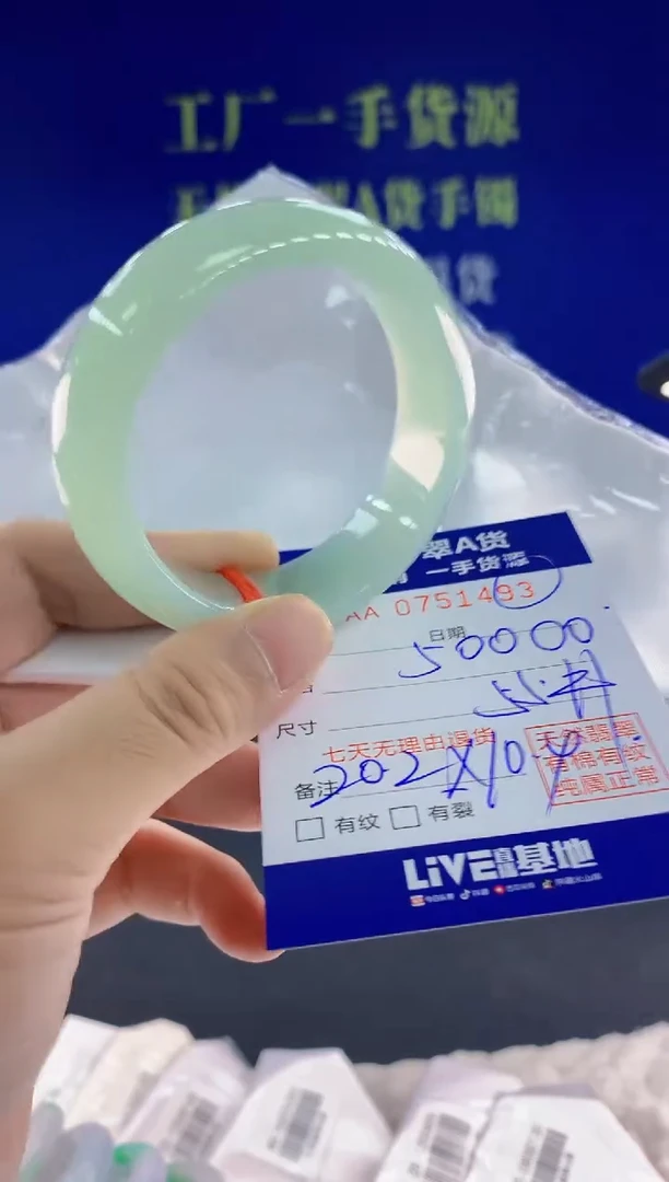 未镶嵌手镯翡翠传*93