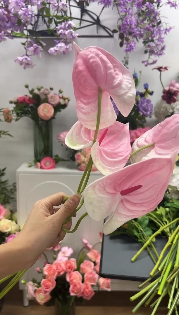 月***Z4枝粉色一帆风顺