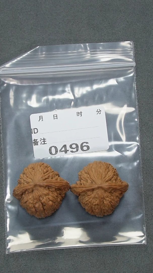 【闪购商品】文玩核桃把件37红宝石