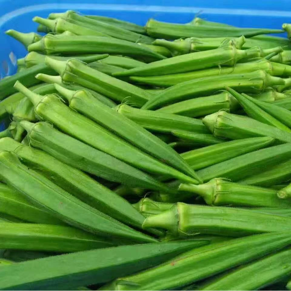 【产地直发】新鲜水果秋葵当季蔬菜羊角豆  现摘现发