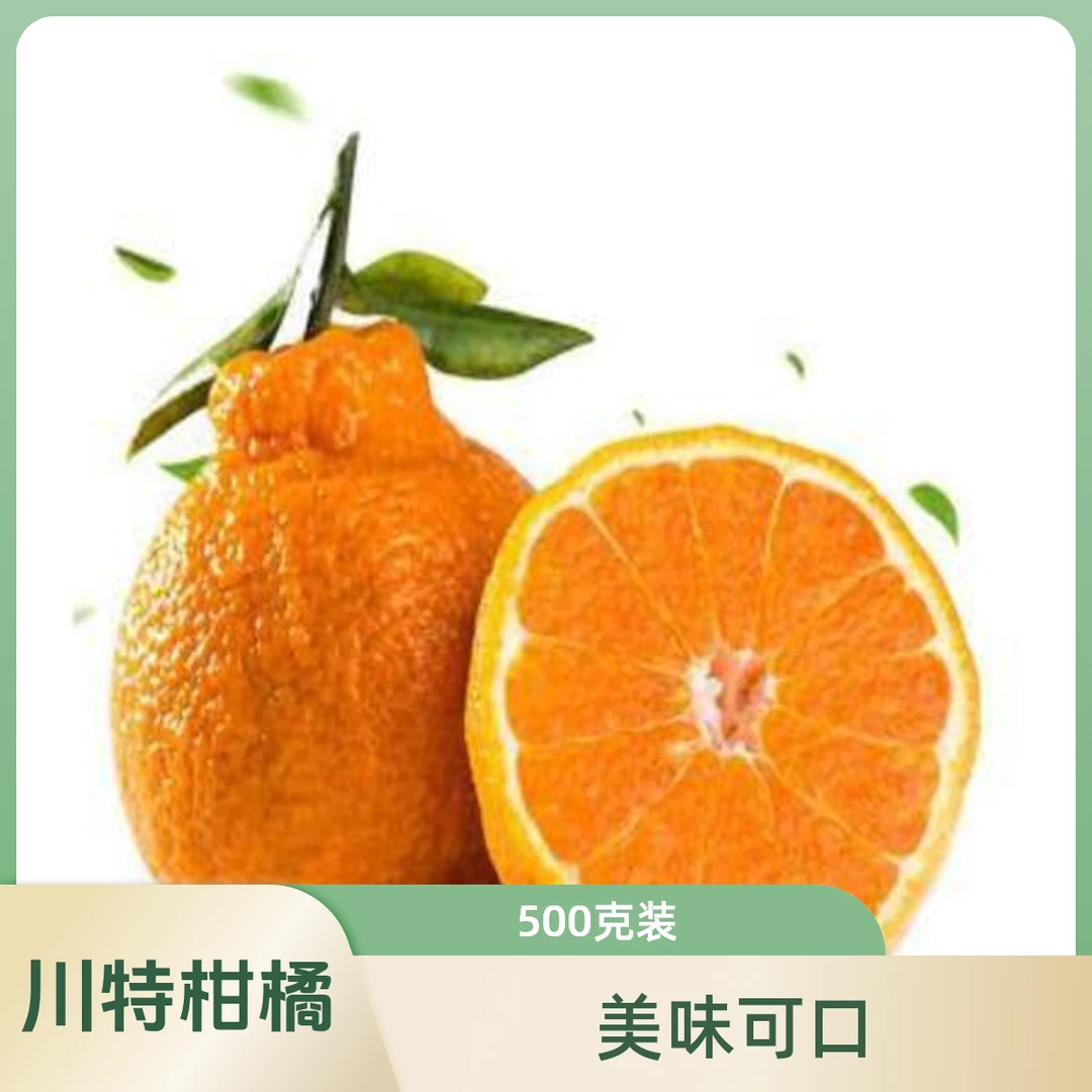 四川春见粑粑柑500g