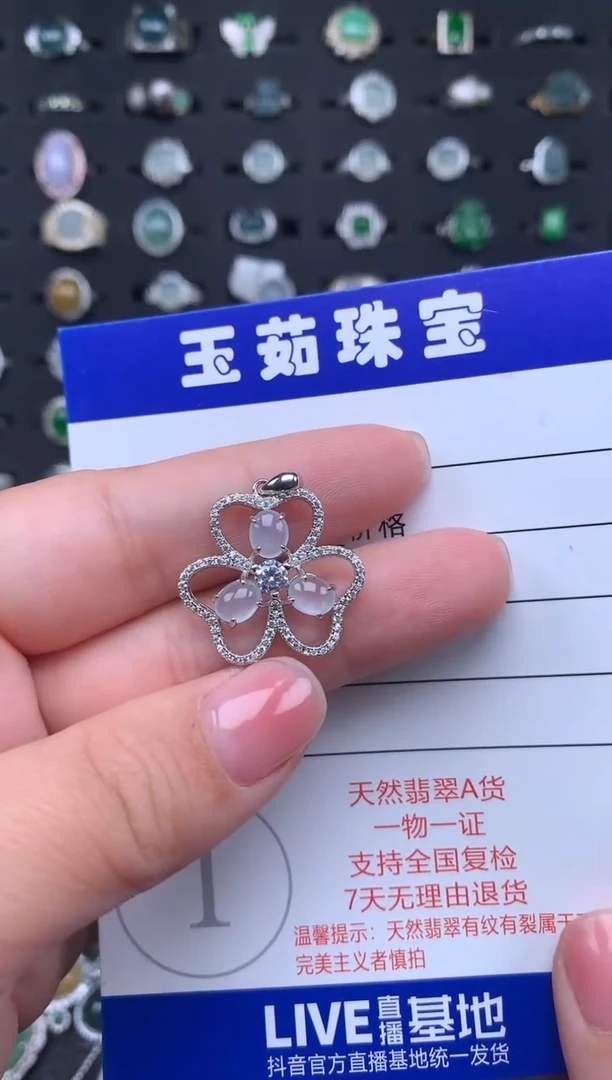 【闪购商品】翡翠颈饰银S925镶嵌345345