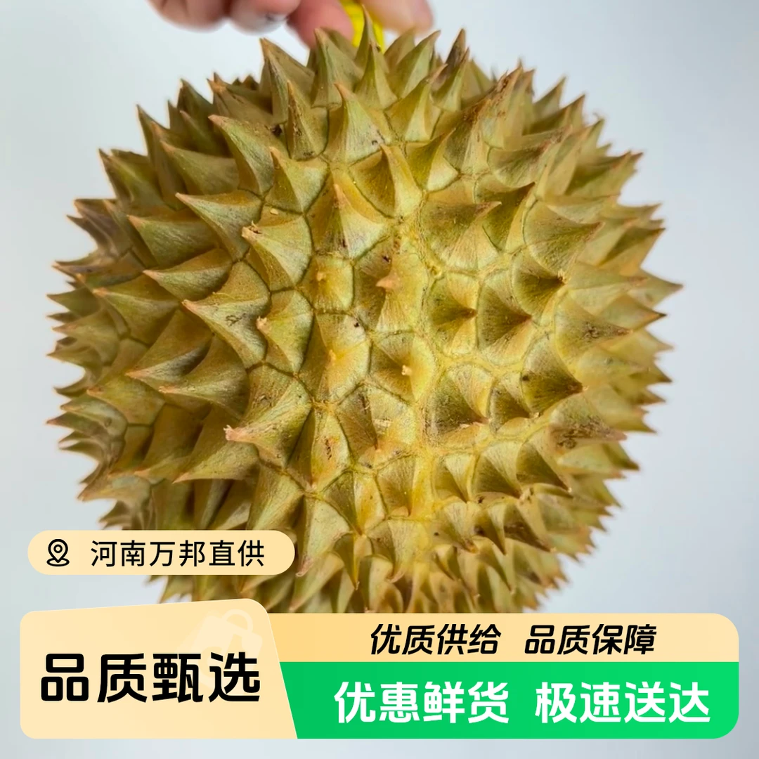 大嘴鸟旗下榴莲忘返泰国金枕鲜榴莲巴掌果【顺丰包邮】1kg~5kg 核小 金枕（运输中有10%水分流失）泰国南部