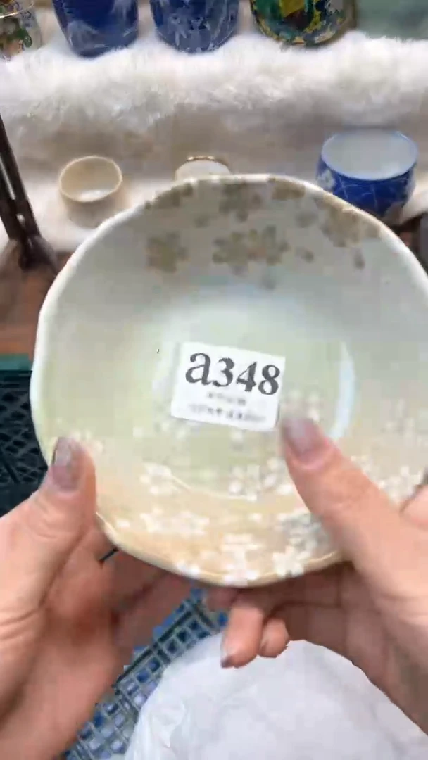 【闪购商品】瓷片          a348