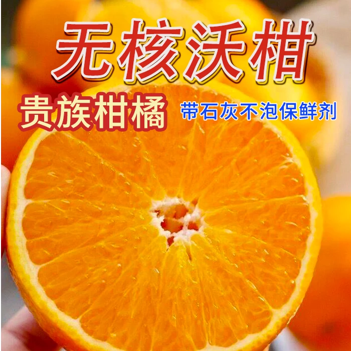 【091无核沃柑】广西武鸣香甜沃柑当季新鲜水果鲜甜多汁皮薄肉厚