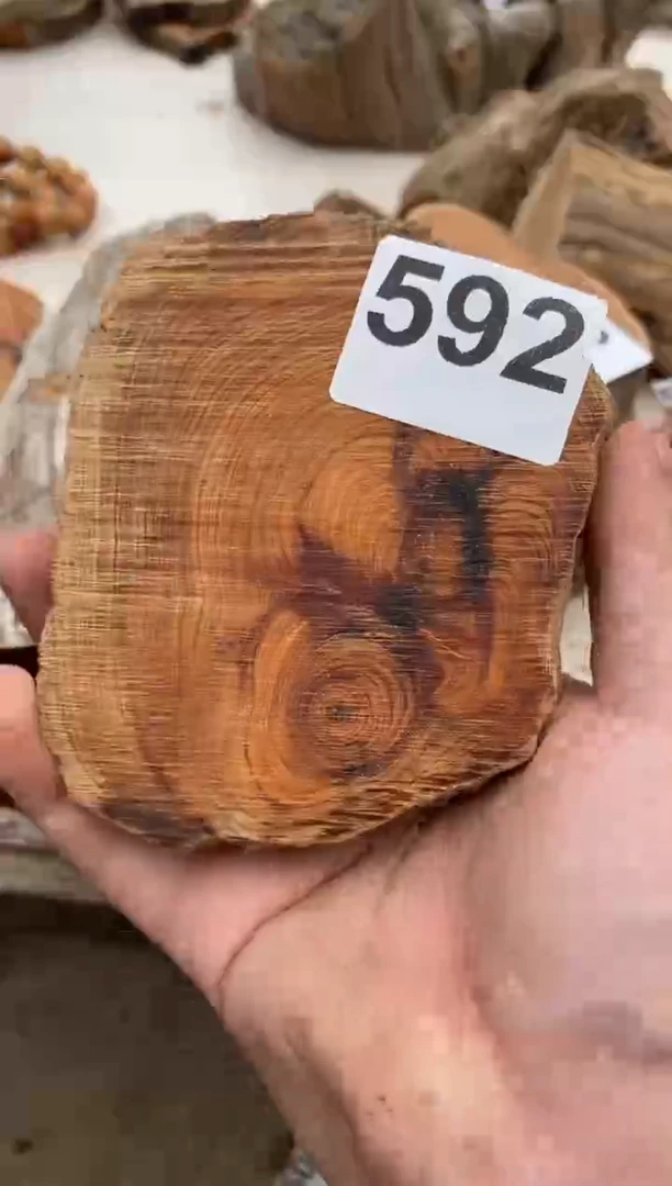 柏木（崖柏）太行陈化崖柏切片一块（津诚林）592