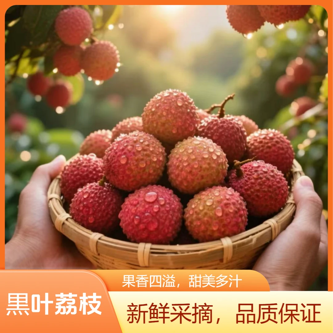 X【顺丰包邮】广西老树乌叶黒叶荔枝  应季新鲜水果 香甜肉厚汁水多 4斤装荔枝同城送