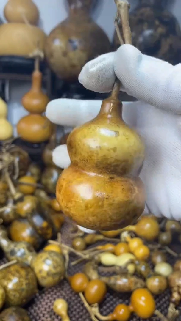 【闪购商品】葫芦葫芦葫芦葫芦